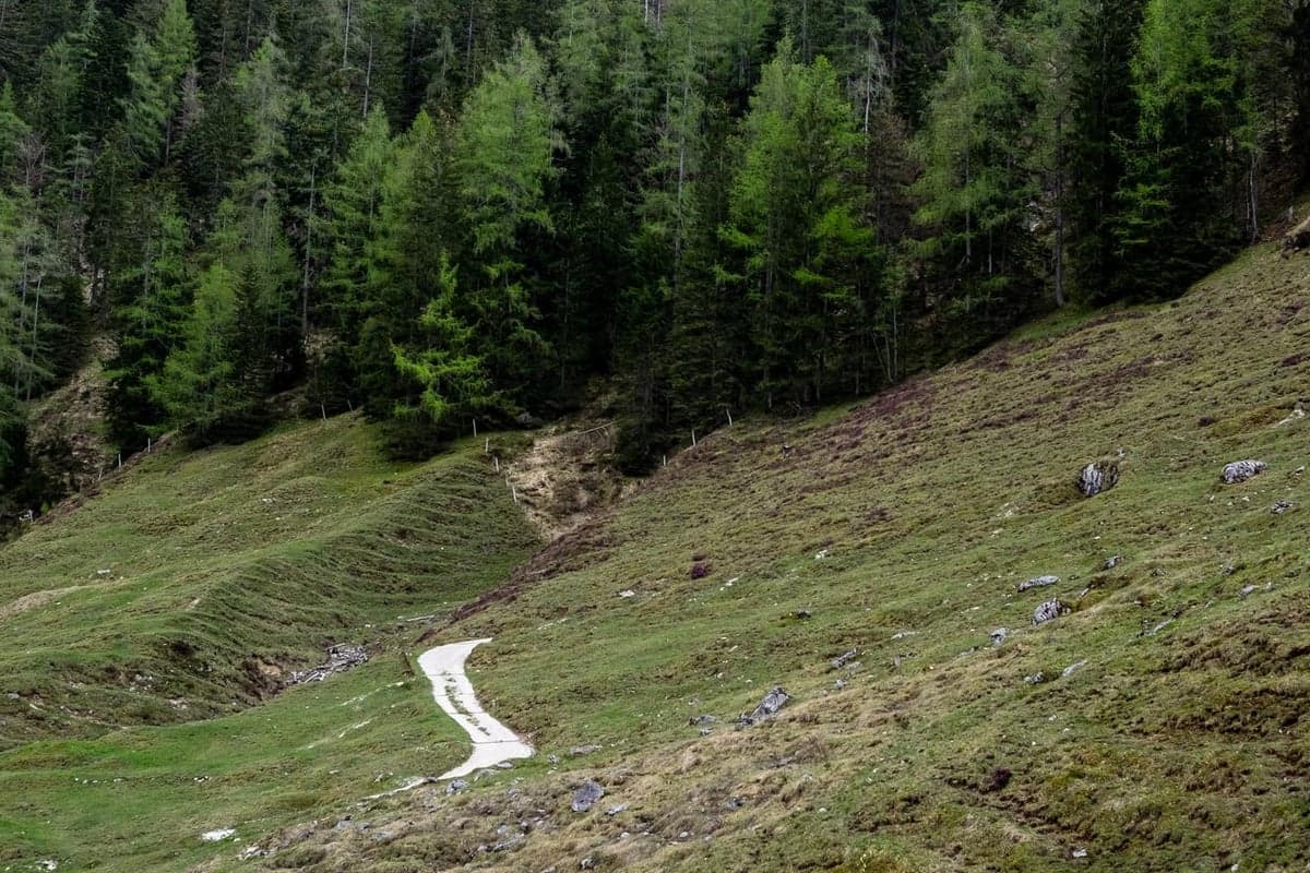 Ein Wanderweg durch Wald und Almwiesen im Ötztal